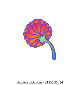 Colorful flower,  retro 60s, 70s hippie style. Vintage psychedelic  vector design elements. Isolated on white. Great for stickers