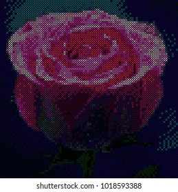 Colorful flower rose object in cross stitch technique. Vector embroidery illustration. Rose scheme 
in crosses vector.