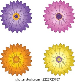 Colorful flower set, flower vector illustration