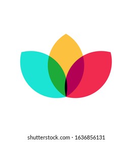 Colorful flower with three different color petals