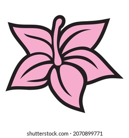 colorful flower vector digital image illustration