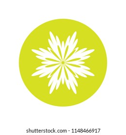 Colorful flower vector icon on white background