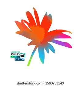 A colorful flower. Vector illustration