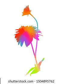 A colorful flower. Vector illustration