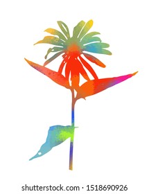 A colorful flower. Vector illustration