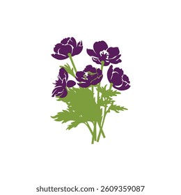 Colorful flower  with vector of illustration