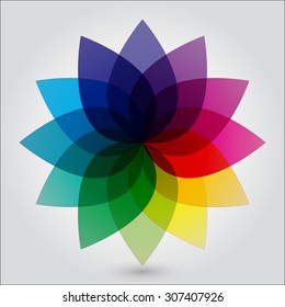 colorful flower vector illustration