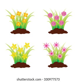 Colorful flowerbeds
	
