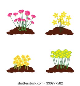Colorful flowerbeds
	
