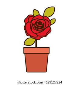 colorful flowered red rose with leaves and stem in flowerpot vector illustration