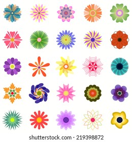 Colorful Flowers