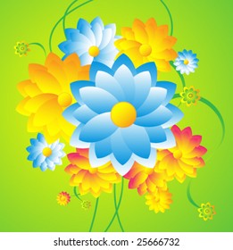 colorful flowers