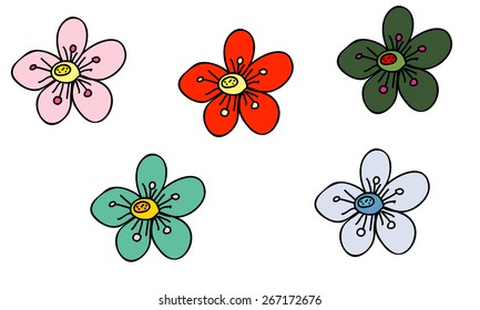 Colorful flowers
