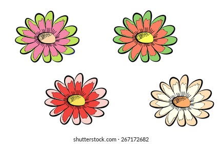Colorful flowers
