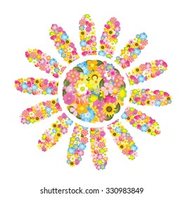 Colorful flowers