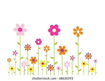 Colorful flowers