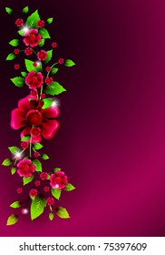 Colorful flowers