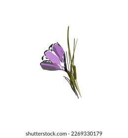 Colorful flowers crocus. Vector Illustration for decoration cards, templates for valentine day, wedding, birthday, easter, baby design.
Design for paper, print, fabric, wallpaper, packaging, textile.