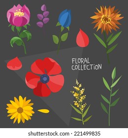Colorful flowers in dark background. Vector set.