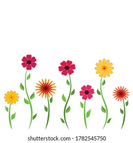 Colorful flowers, isolated, flat design, floral background, vector illustration. 