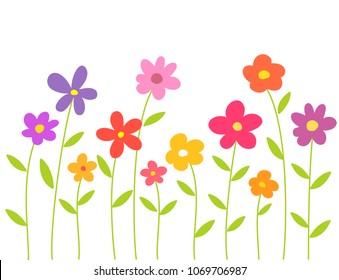 Colorful flowers isolated on white background