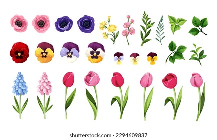 Colorful flowers and leaves isolated on a white background. Set of colorful tulip, pansy, anemone, and hyacinth flowers and green leaves. Vector illustration