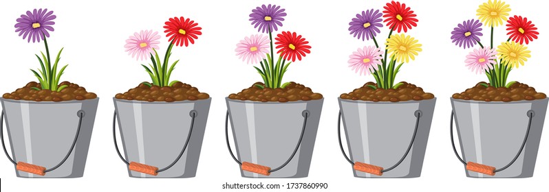 Colorful flowers in metal buckets on white background illustration