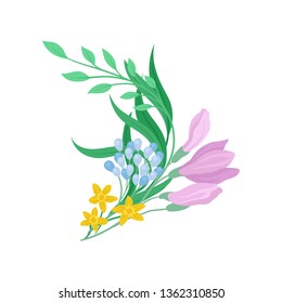 Colorful flowers on white background. Spring concept.