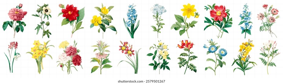 Colorful flowers in a row, featuring red, yellow, and blue blooms. Each flower is distinct, showcasing vibrant petals and green leaves. Floral variety and beauty. Spring flower illustrations, vectors.