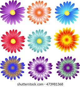 Colorful flowers set, daisy