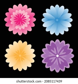 Colorful flowers with their petals overlapping on a black background