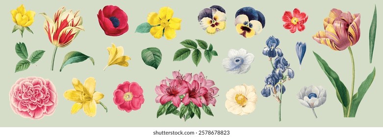 Colorful flowers in various shapes and sizes. Vibrant flowers include tulips, roses, and pansies. A beautiful collection of diverse flowers. Spring illustrations, vector set.