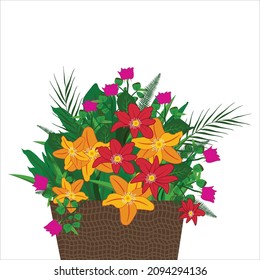 Colorful Flowers in Vases Vector Illustration, Spring colorful flowers in pots Vector