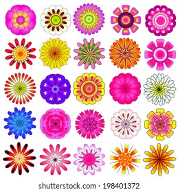 colorful flowers vector set, beautiful flower in image for decoration and design idea