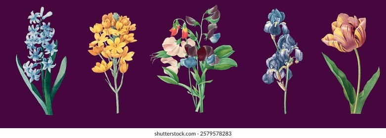 Colorful flowers, vibrant flowers, diverse flowers on a purple background. Each flower, unique flowers, creates a stunning floral display. Spring illustrations, vector set.