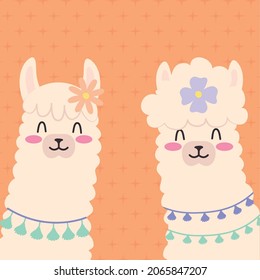 colorful fluffy llamas illustration design