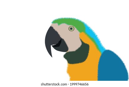 Colorful, fluffy parrot, cute cartoon style. Vector illustration