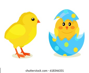 Colorful fluffy spring yellow chicken and newborn chick hatched from shell isolated on white background. Mascots of Easter celebration