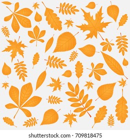 Colorful flying autumn leaves set on white background vector illustration