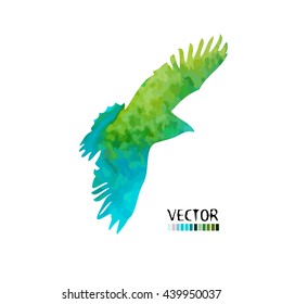 Colorful flying bird. Vector