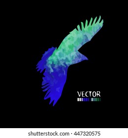 Colorful flying bird. Vector