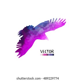 Colorful flying bird. Vector