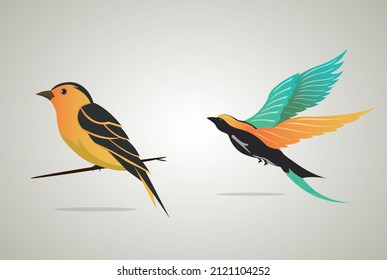 Colorful flying bird vector art.  Bird logo. Bird sitting on trees branches. 