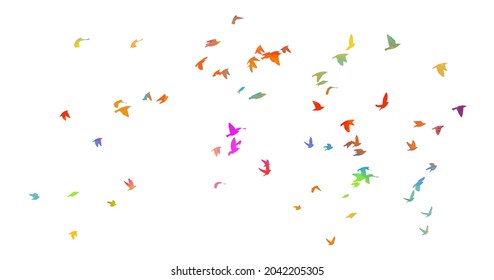 Colorful flying birds in the sky. Vector illustration