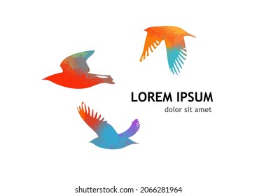 Colorful flying birds in the sky. Vector illustration