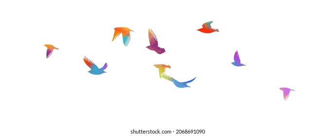 Colorful Flying Birds Sky Vector Illustration Stock Vector (Royalty ...