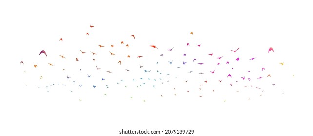 Colorful flying birds in the sky. Vector illustration