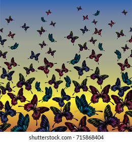 Colorful flying butterflies