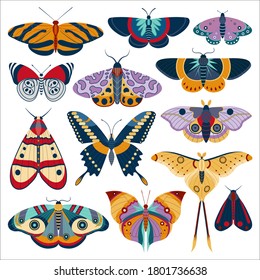 Colorful flying butterflies and exotic winged insects. Hand-drawn moth and tropic butterfly collection with rainforest Comet-moth, Cinnabar, Milionia basalis, banded orange Heliconian in flat design.