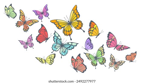 Colorful flying butterflies. Spring and summer insects isolated vector illustration